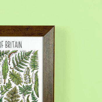 Ferns Of Britain Wildlife Print, 6 of 8