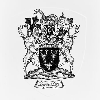 Personalised Family Coat Of Arms Original Illustration, 4 of 6