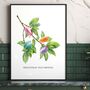 Macaron Wall Art, Botanical Print With A Twist, thumbnail 9 of 11