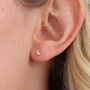Sterling Silver Or Gold Plated Tiny Star Stud Earrings, thumbnail 2 of 11