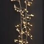 Pearl Cluster Battery Or Mains Fairy Lights, thumbnail 4 of 6