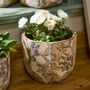 Vintage Floral Plant Pots, thumbnail 5 of 5