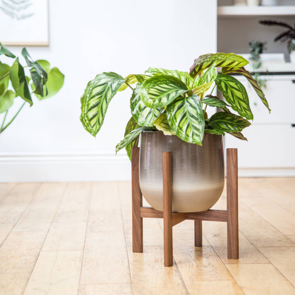 Large Plant Stands By James Design