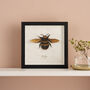 Paper Cut Honey Bee Wall Art Romantic Gift, thumbnail 2 of 8