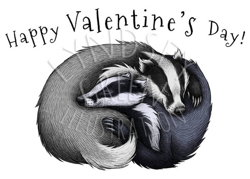 Badger Couple Illustration Valentines Card By Lyndsey Green