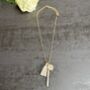 Gold Plated Charm And Taupe Tassel Necklace, thumbnail 1 of 3