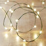 50 Warm White LED Micro Fairy Lights On Green Wire, thumbnail 1 of 4