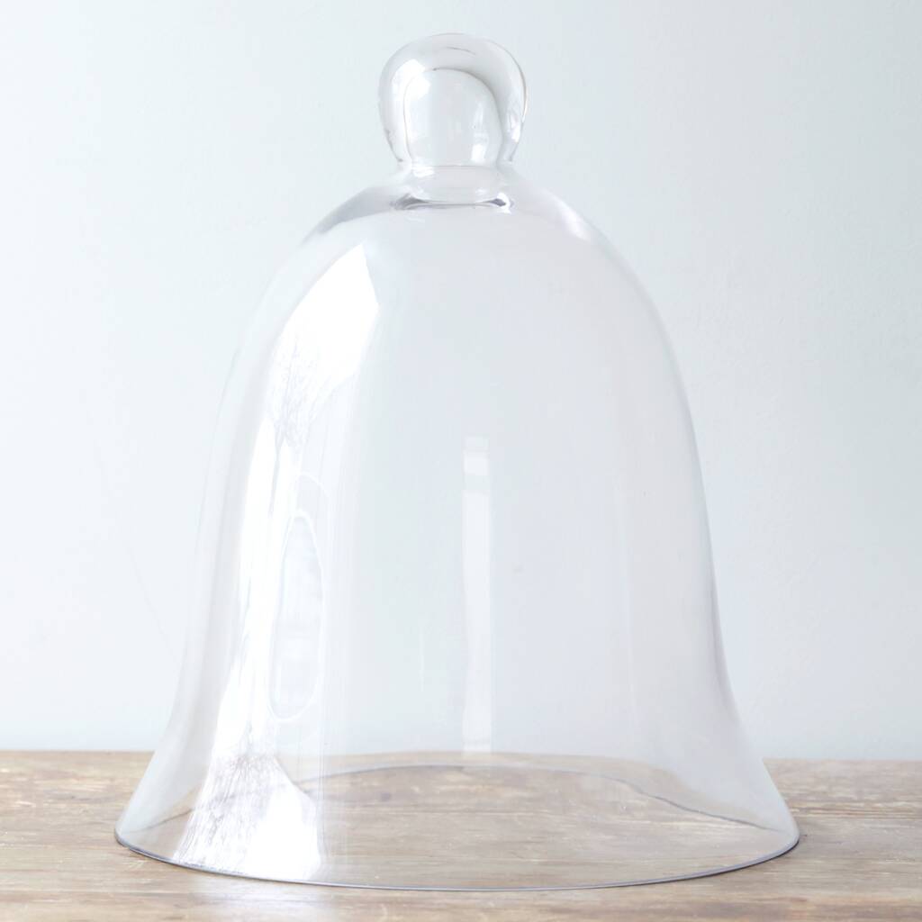 Bell Glass Dome By Lisa Angel