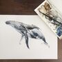 Humpback Whale Watercolour Fine Art Print, thumbnail 3 of 3