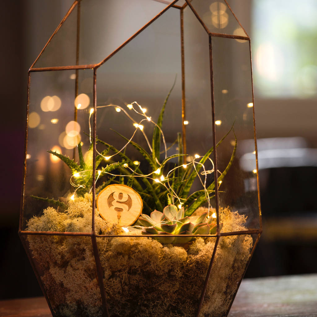 Branded Corporate Gift Large Gem Terrarium Plant By The Urban Botanist