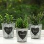 Set Of Three Personalised Herb Planters, thumbnail 1 of 11