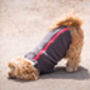 Shih Tzu Polartec Dog Coat, thumbnail 5 of 5