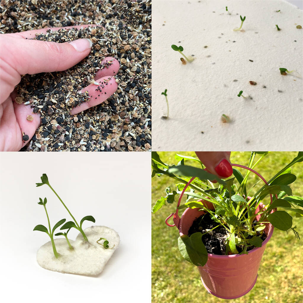 Plantable Wildflower Seed Paper By Ruby & Bo