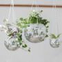 Personalised Disco Ball Hanging Planter, thumbnail 3 of 10