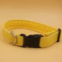 Yellow Dog Collar, thumbnail 1 of 10