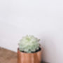 Copper Pot For Succulents, Rings Or Trinkets, thumbnail 2 of 3