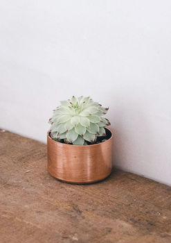 Copper Pot For Succulents, Rings Or Trinkets, 2 of 3