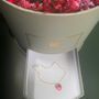 Preserved Rose Secret Bloom Box With Bracelet, thumbnail 9 of 9