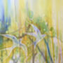 Echoes Of Summer, thumbnail 5 of 9