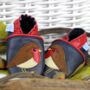 Dotty Fish Holly The Robin Soft Leather Baby Shoes With Barefoot Soles, thumbnail 3 of 7