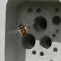 Beepot Mini Bee Hotel And Planter, thumbnail 9 of 10
