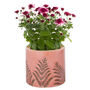 Personalised Pink Fern Bookend Planter, thumbnail 2 of 6