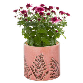 Personalised Pink Fern Bookend Planter, 2 of 6