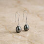 Sterling Silver Black Freshwater Pearl Drop Earrings, thumbnail 3 of 8