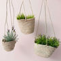 Natural Woven Hanging Planter Basket, thumbnail 1 of 4