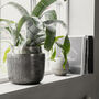 Vase/Planter, Heylo, Silver Oxidized, thumbnail 1 of 1