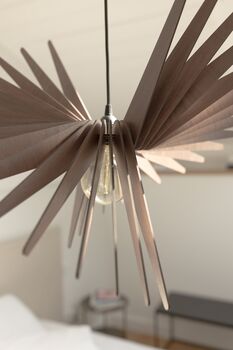 'Bird' Wooden Pendant Light, 3 of 4