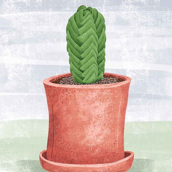 Buddha's Temple Plant Illustrated Print, 4 of 5