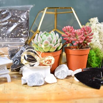 Gold Geometric Terrarium Kit With Succulent Plant Lover Gift, 5 of 12