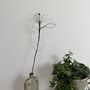 Handmade Wire Lily Stem, thumbnail 11 of 12