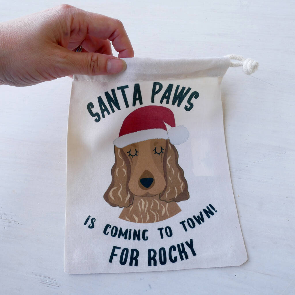 Personalised Santa Dog Treat Bag, 1 of 9