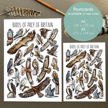 Birds Of Prey Of Britain Watercolour Postcard, 2 of 8