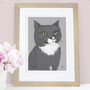Personalised Hand Drawn Pet Cat Portrait, thumbnail 2 of 12