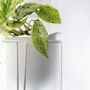 Flo, Self Watering Ceramic And Glass Planter With Stand, thumbnail 3 of 7