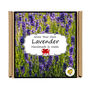 Gardening Gift. Lavender Flowers Growing Kit, thumbnail 4 of 4