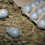 Box Of 60 Quail Egg's Grey Marble, thumbnail 3 of 3
