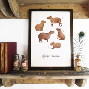 Chill Of Capybaras Art Print, 4 of 8