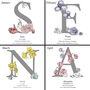 Personalised Birth Flower And Birth Stone Cushion, thumbnail 4 of 12