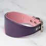 Multi Coloured Leather Whippet Collar, thumbnail 5 of 6