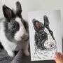 Personalised Rabbit Half Portrait Print, thumbnail 2 of 11