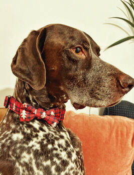 Winter Wonderland Plaid Christmas Dog Bow Tie, 2 of 2