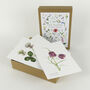 British Wild Flower Postcard Box, thumbnail 1 of 4