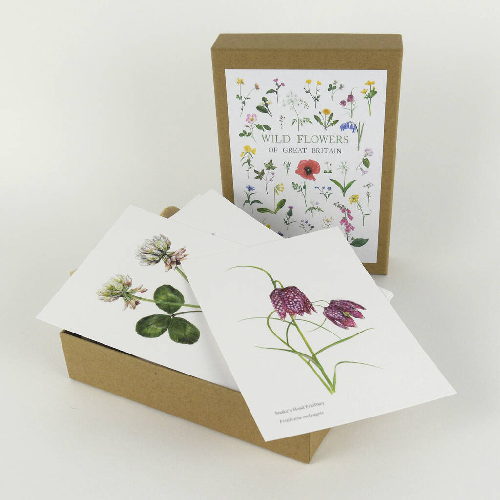 British Wild Flower Postcard Box, 1 of 4