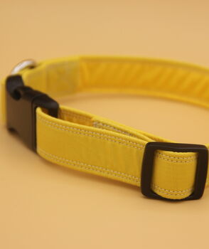 Yellow Dog Collar, 4 of 10