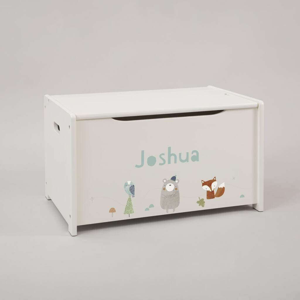 Personalised Little Adventures Toy Box By My 1st Years