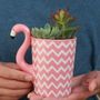 Flamingo Mug Planter With Choices Of Plants, thumbnail 1 of 7